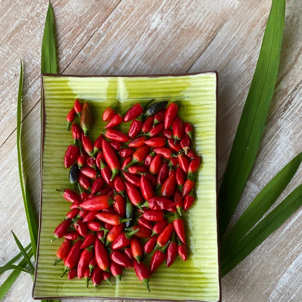 Chilli - The King of Spices & How it is used in Indian Cuisine