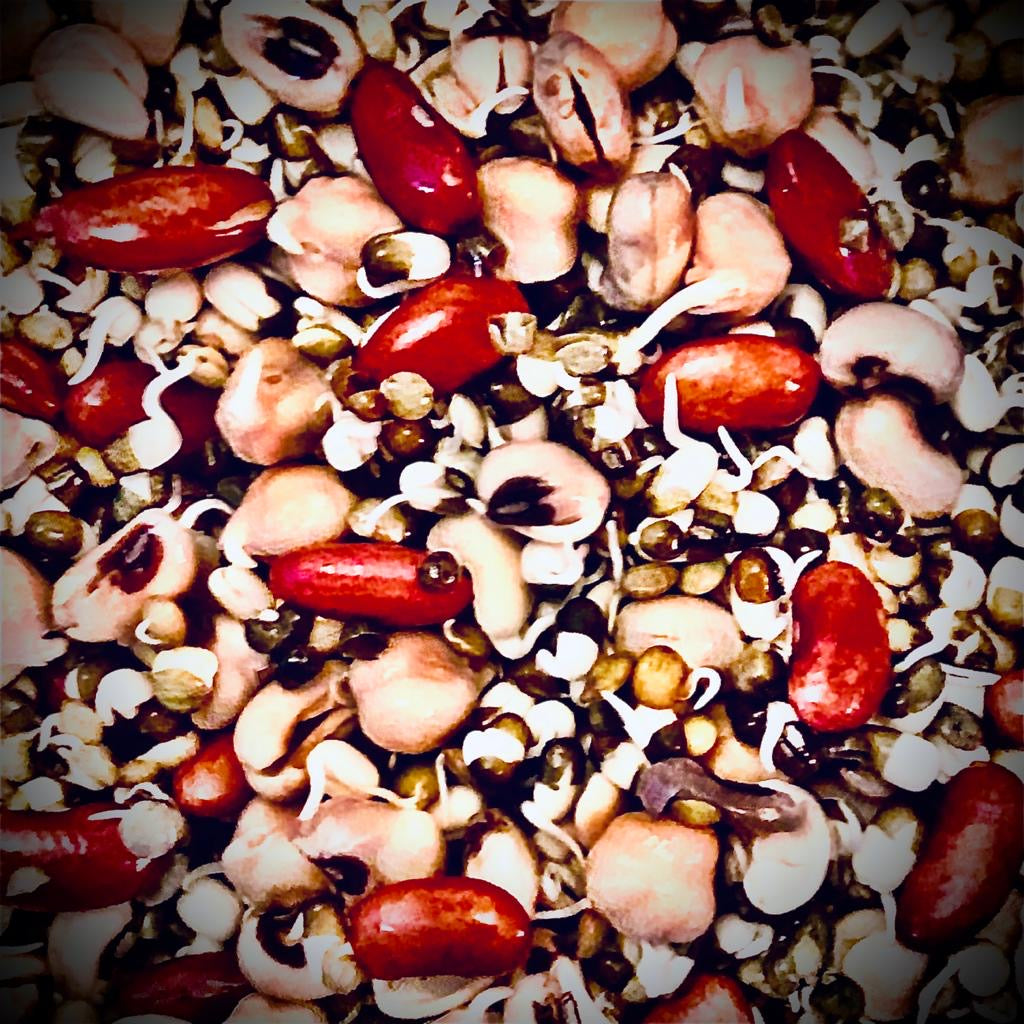 All About Sprouting - How does it work & What are its health benefits?