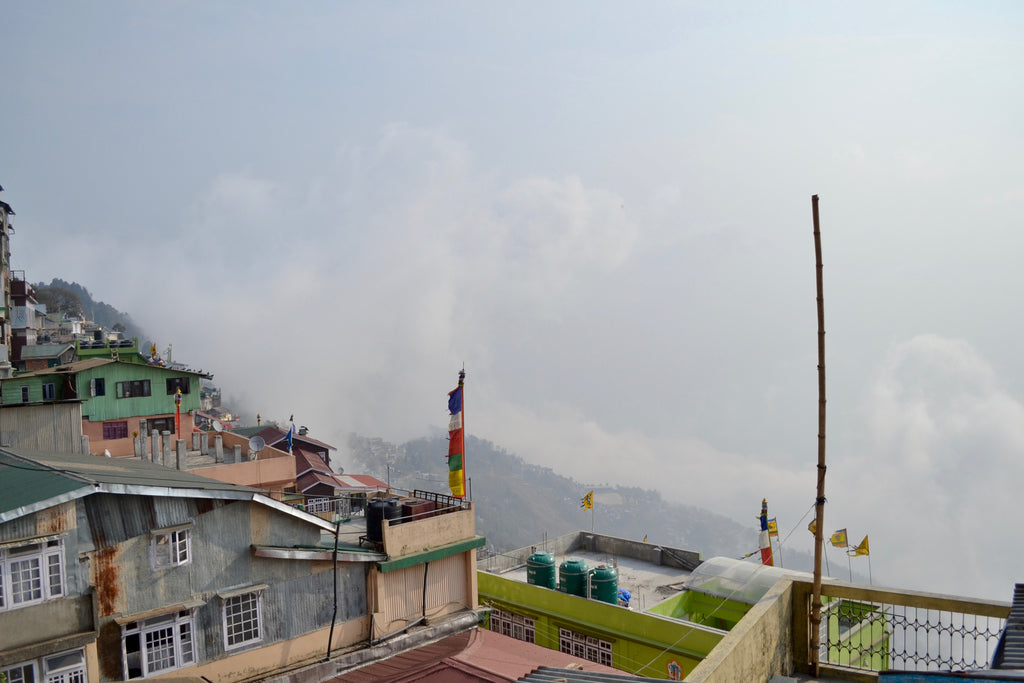 [Part 1] From Darjeeling to Kolkata - A Journey Through West Bengal