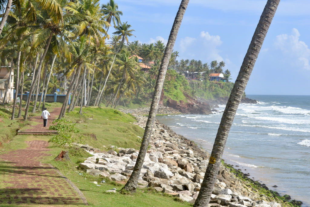 The Coconut: Its Uses in Indian Culture and Cuisine