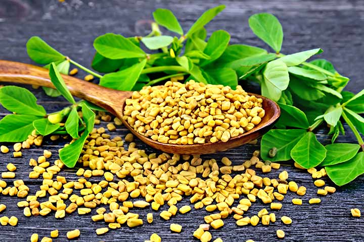 Those Fenugreek Feels - Cooking With Fenugreek And Its Medicinal Benefits