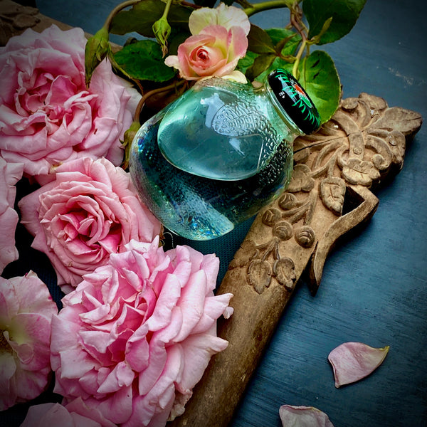 Love at First Bite 💕